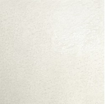 60х60х10,5 Monocolor CF 010 LR бело-серый лаппатированная