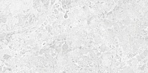 60х120 Brecia Adonis Grey керамогранит светло-серый полированный
