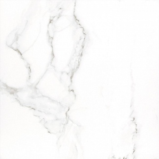 60x60 Carrara Premium white PG 01 foto2